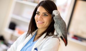 veterinarian with a parrot on her shoulder
