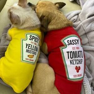 bff ketchup and mustard small dog costume halloween