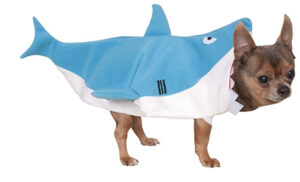 small dog shark costumes halloween